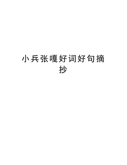 小兵张嘎好词好句摘抄资料