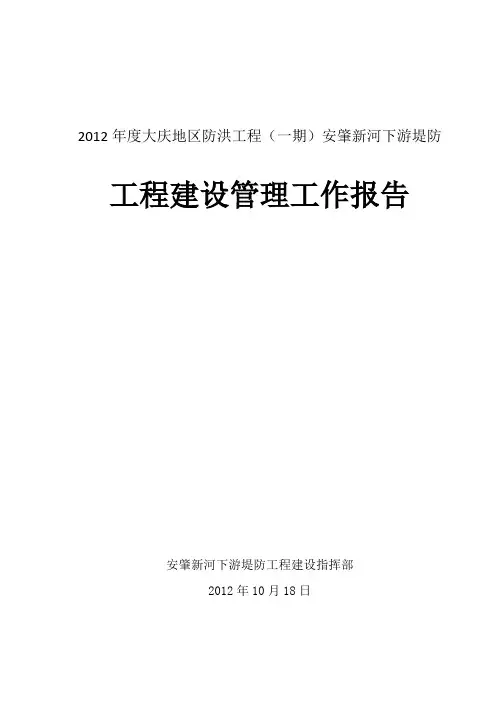 防洪工程建设管理工作报告