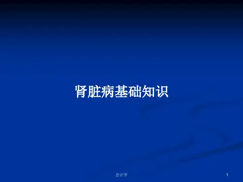 肾脏病基础知识PPT学习教案