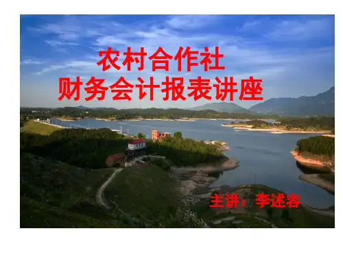 农民合作社财务报表