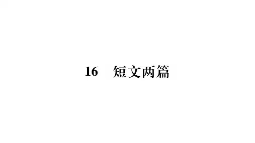 16 短文两篇