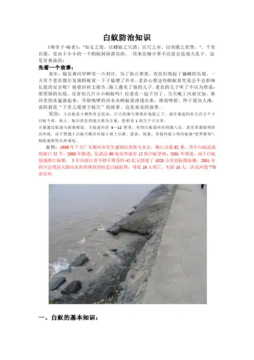 白蚁防治 2