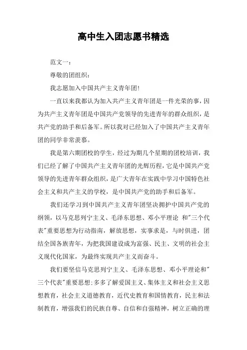 高中生入团志愿书精选