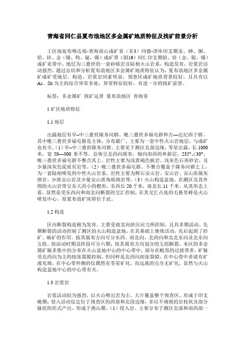 青海省同仁县夏布浪地区多金属矿地质特征及找矿前景分析