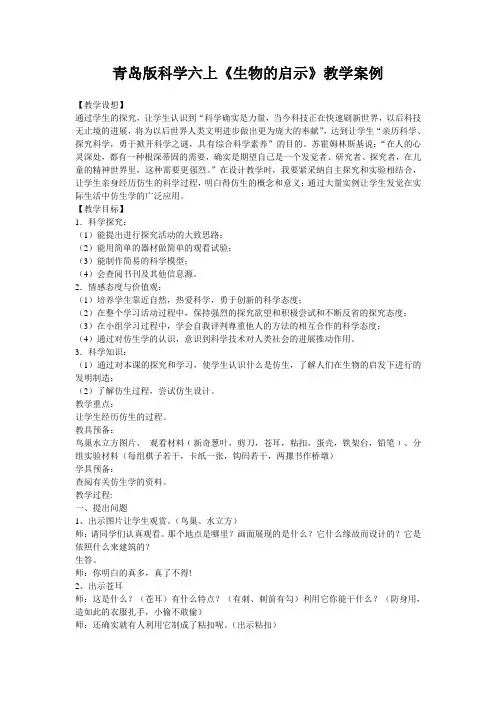 青岛版科学六上《生物的启示》教学案例