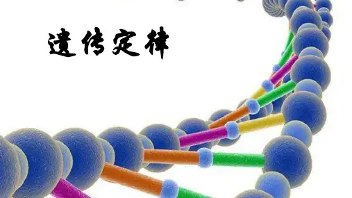 高中生物遗传专题