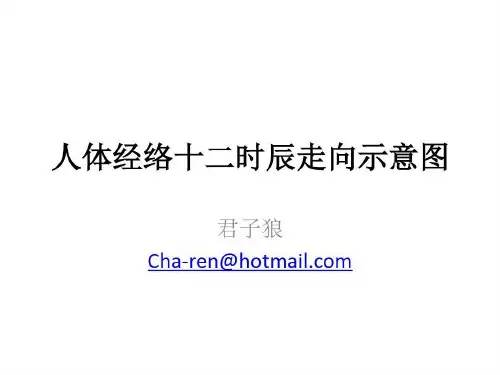 人体经络十二时辰走向示意图共32页