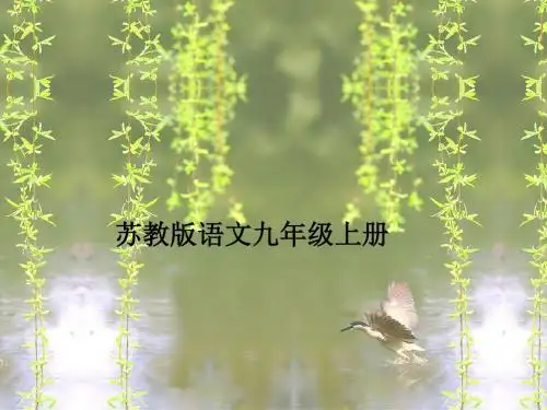 初中作文指导 细节让人物“活”起来PPT课件