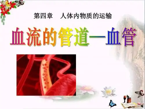 《血流的管道-血管》人体内物质的运输PPT课件2