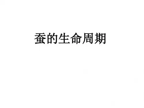 2.5蚕的生命周期