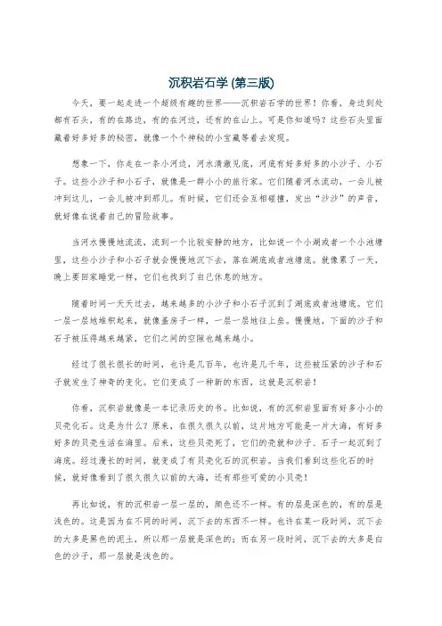 沉积岩石学 (第三版)