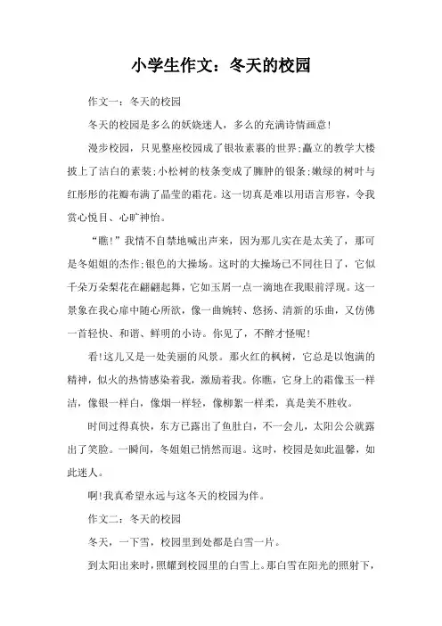 小学生作文：冬天的校园