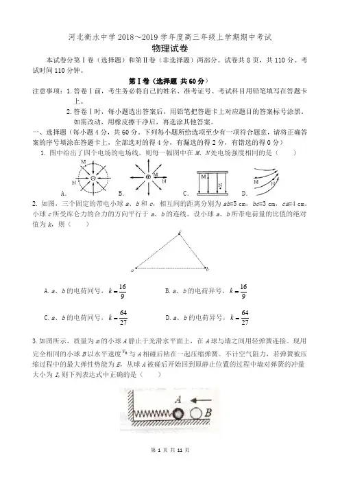河北衡水中学2018～2019学年度高三年级上学期期中考试物理试卷(含答案)