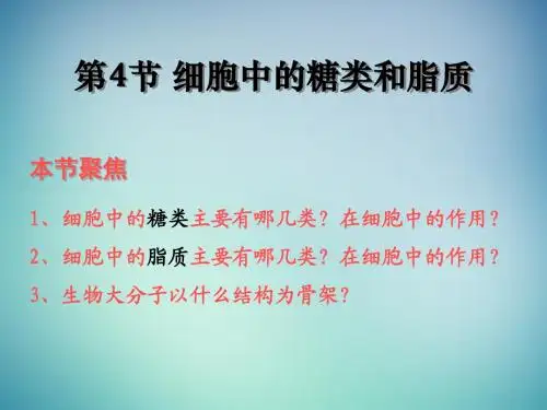 第二章 第四节 细胞中的糖类和脂质课件 新人教版必修1