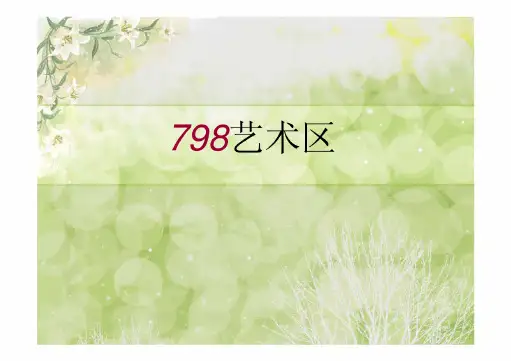 北京798艺术区项目案例研究分析报告