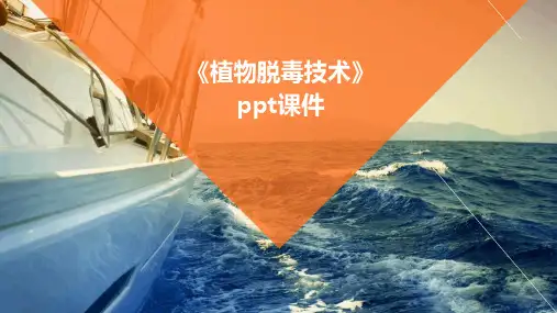 《植物脱毒技术》课件