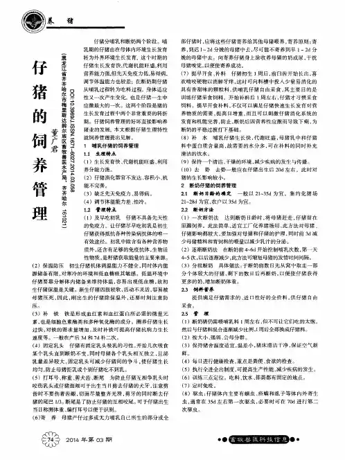 仔猪的饲养管理