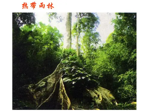 降水的变化与分布2017