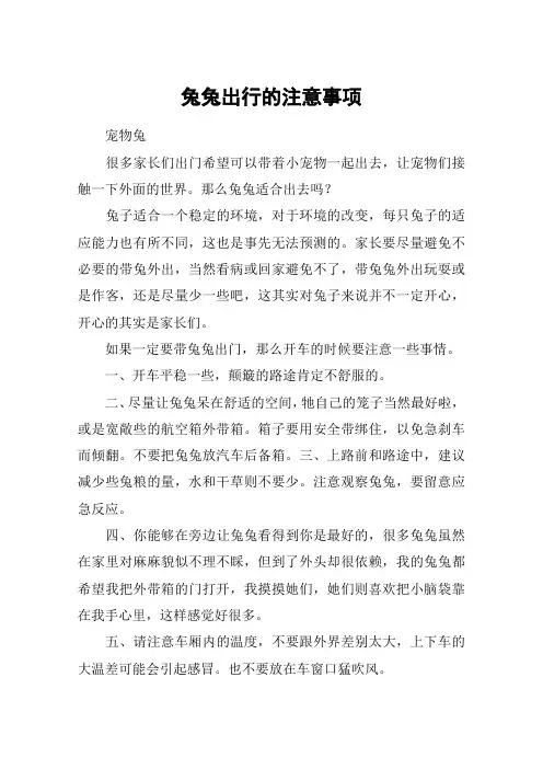 兔兔出行的注意事项