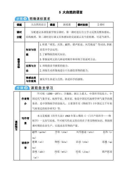 大自然的语言 3