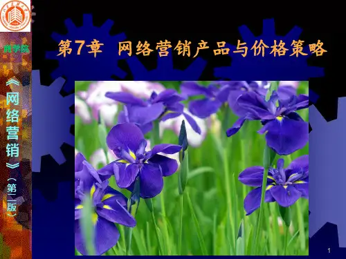 网络营销产品与价格策略PPT课件