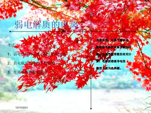 高考化学二轮复习二十弱电解质电离课件