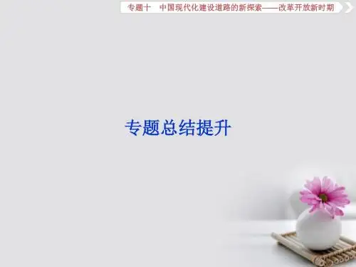 2019届高考历史总复习专题十中国现代化建设道路的新探索_改革开放新时期专题总结提升课件