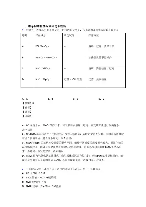 中考化学复习分离和提纯除杂专项综合练附详细答案
