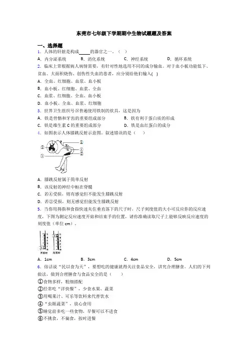 东莞市七年级下学期期中生物试题题及答案