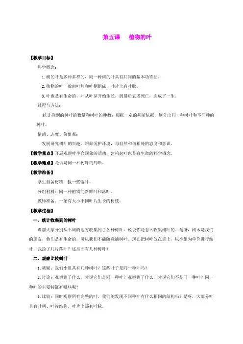 三年级科学上册 植物的叶教案 教科版