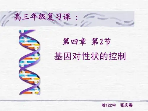 人教版教学课件2012年高三一轮复习课---基因对性状的控制