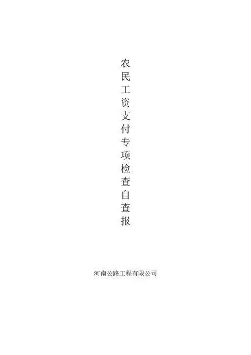农民工工资支付专项检查自查报告_2
