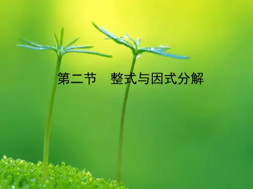 中考数学第一章数与式第二节整式与因式分解课件