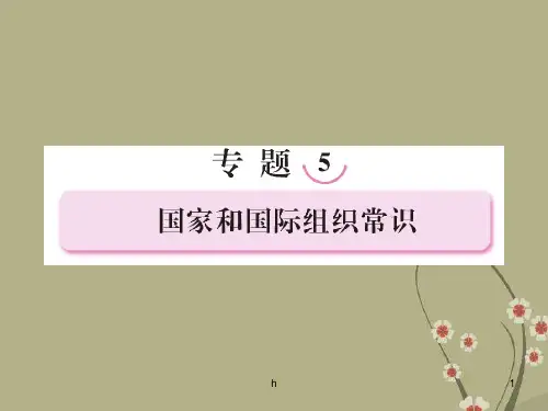 高三政治二轮复习 5国家和国际组织常识课件