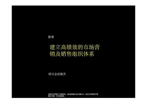 麦肯锡 实达案例:建立高绩效的市场营销及销售组织体系