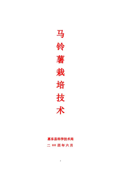 马铃薯栽培技术 2