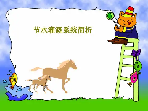 节水灌溉系统简析23页PPT