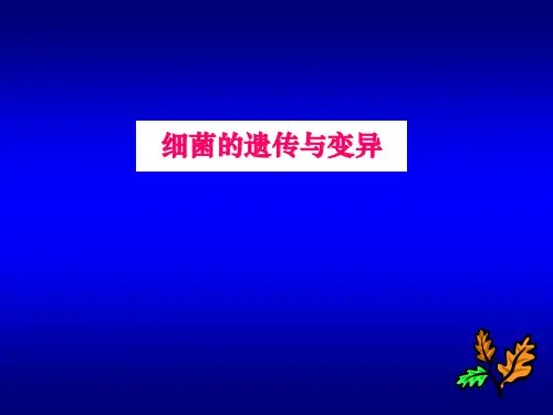 医学微生物学--细菌的遗传与变异  ppt课件