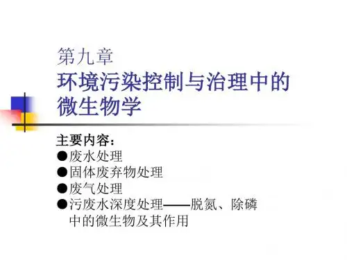 水环境污染控制与治理的生态工程及微生物学原理
