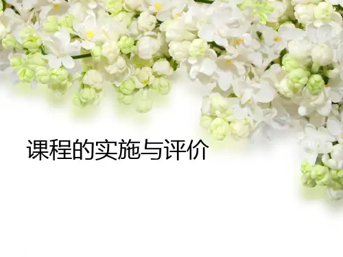 课程实施与评价1