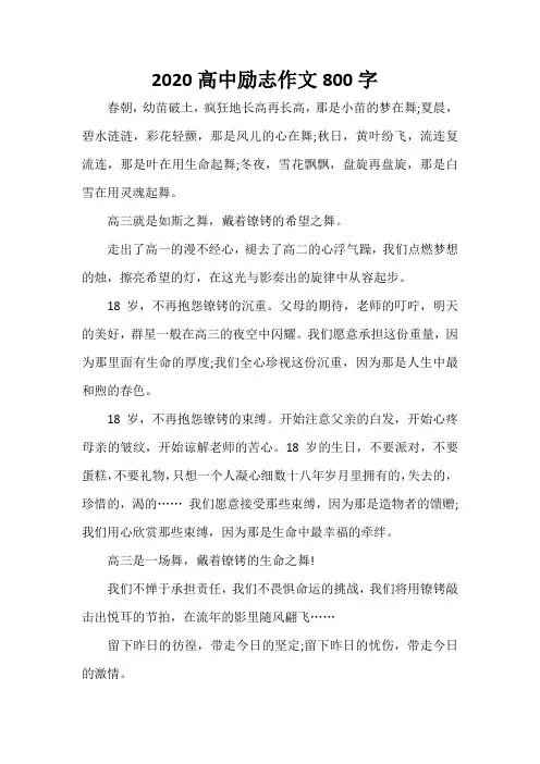 2020高中励志作文800字