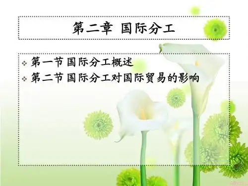 第二章 了解国际分工
