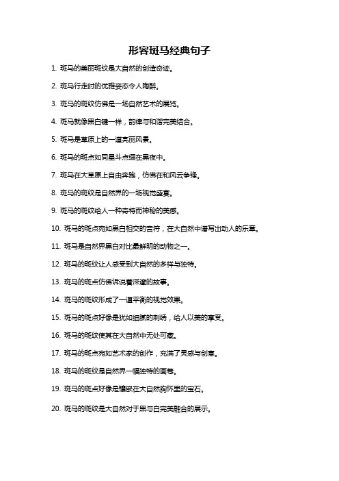 形容斑马经典句子