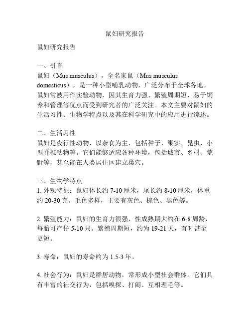 鼠妇研究报告