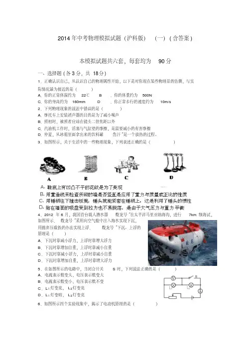 2014年中考物理模拟试题(一)(沪科版)