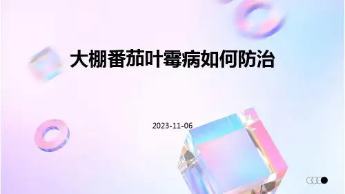 大棚番茄叶霉病如何防治