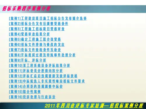 评标案例分析(只有问题)