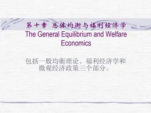 2019-第十章  总体均衡与福利经济学——微观经济学课件-文档资料