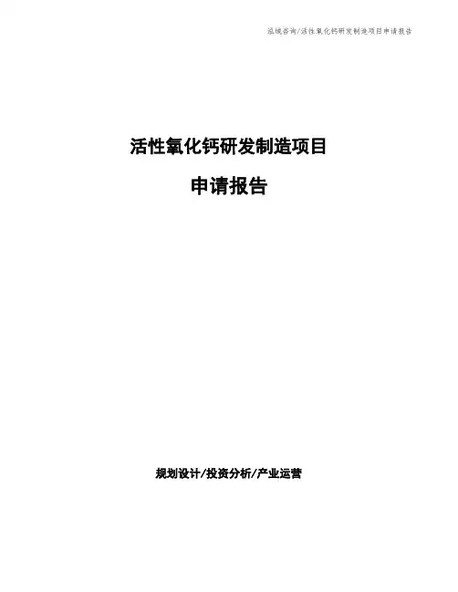 活性氧化钙研发制造项目申请报告