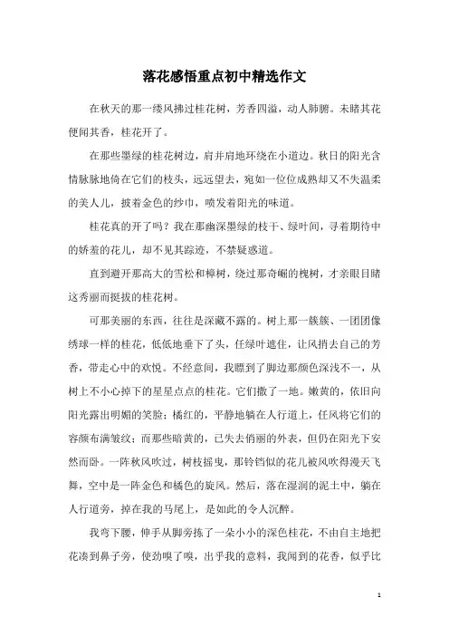 落花感悟重点初中精选作文